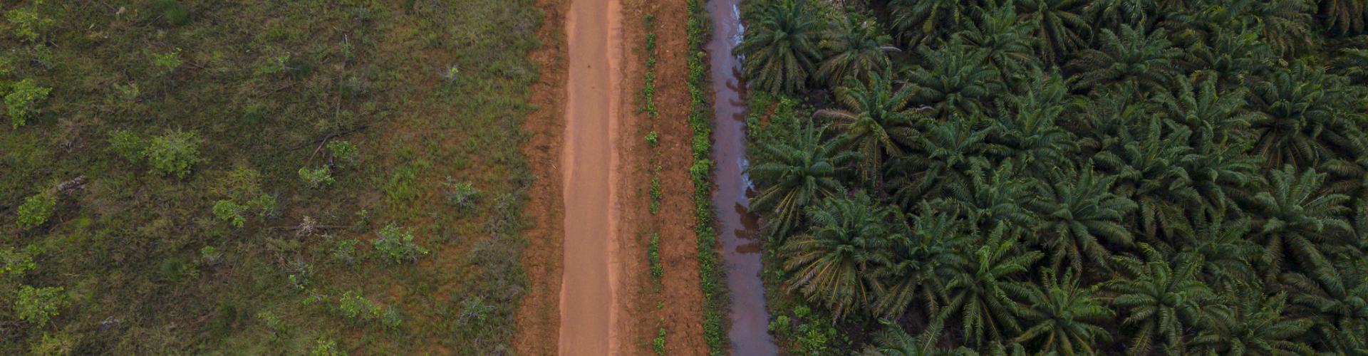 Aerial photo of a waterway, which some community members say has been polluted by mining activities near Lake Tiu in North Morowali, Indonesia.