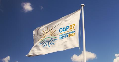 COP27 flag