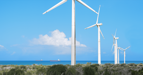 Wind farms in La Guajira