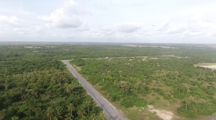 A road newly constructed by gas companies.