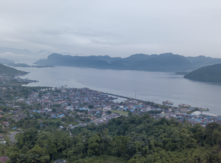 Aerial photograph of the city of Kolonodale in North Morowali, Central Sulawesi.
