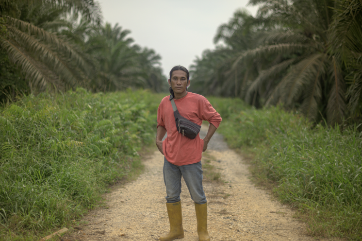 A villager whose plantation land was taken over by a company.