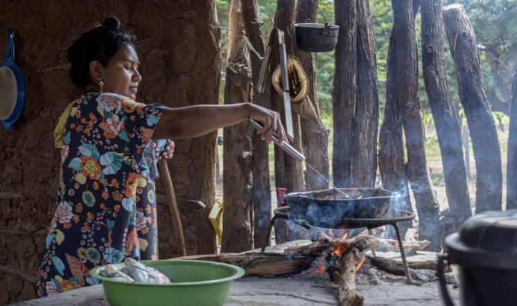 In the department of La Guajira, 44% of households use firewood for cooking, according to figures from the National Department of Statistics (DANE 2020).