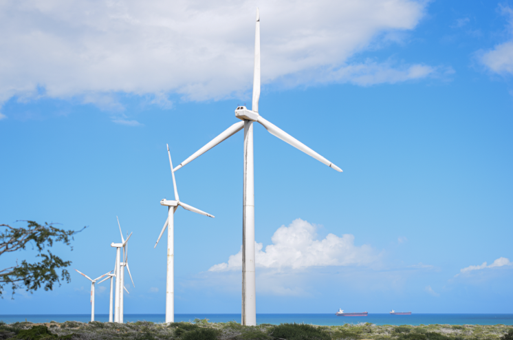 Wind turbines line the coast in the La Media Luna area, Cabo de la Vela, in Uribia. Cargo ships carry coal in the Caribbean Sea. La Guajira hosts a railway terminal, a shipping and export port for thermal coal, and several wind farms.
