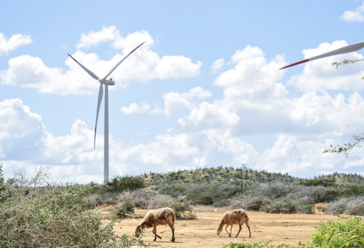 Wind turbines along the main road in the Media Luna area, Cabo de la Vela, Uribia.
